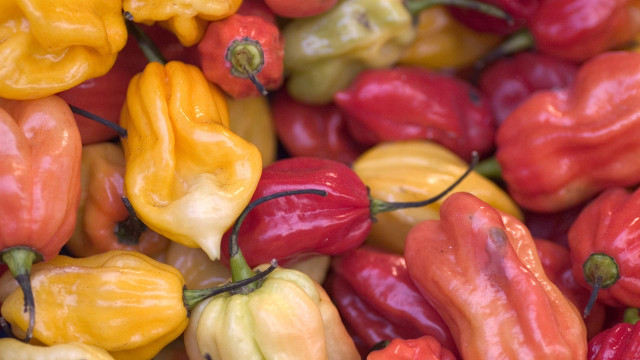 Red yellow peppers green tops free wallpaper for desktop - medium preview image