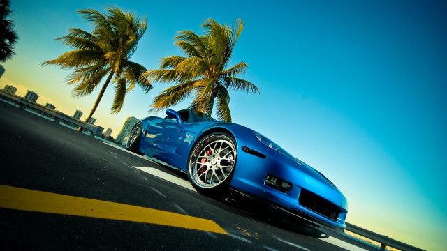 Blue sports car palm trees free wallpaper for desktop - medium preview image