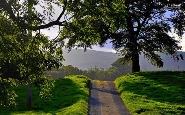 Adahillwalker landscape trees mountain park free wallpaper for desktop - medium preview image