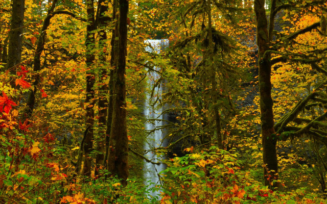 Waterfall forest autumn leaves impressionist free wallpaper for desktop - medium preview image