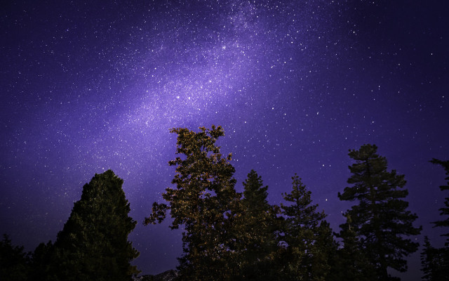 Night sky stars tree moon free wallpaper for desktop - medium preview image