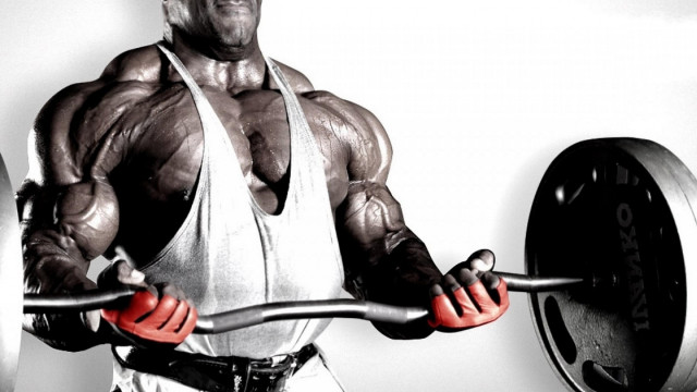 Muscular man barbell weight plate free wallpaper for desktop - medium preview image