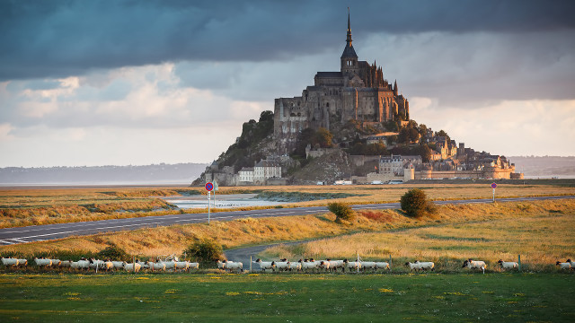 Medieval castle tower animals road free wallpaper for desktop - medium preview image