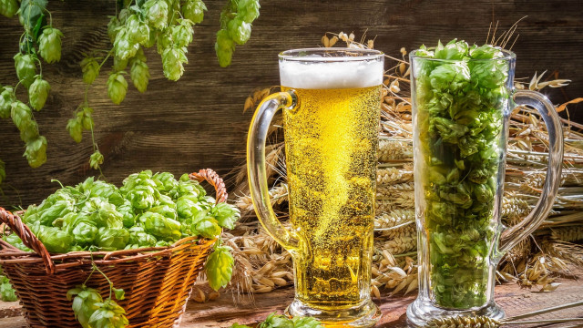 Beer hops basket plant vine free wallpaper for desktop - medium preview image