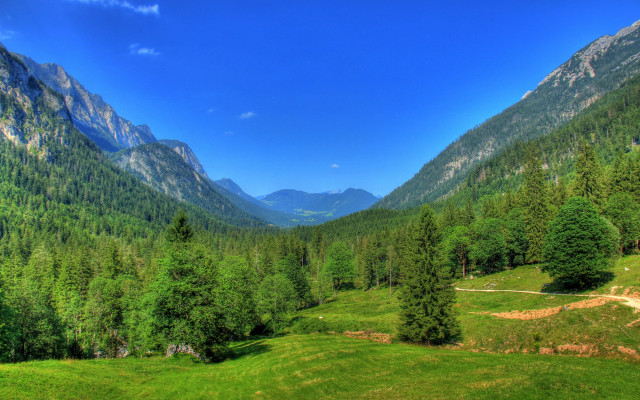 Green valley path mountains trees free wallpaper for desktop - medium preview image