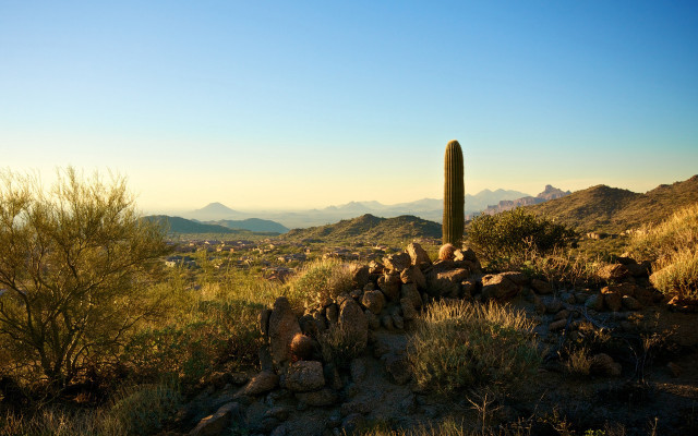 Desert cactus mountains blue sky free wallpaper for desktop - medium preview image