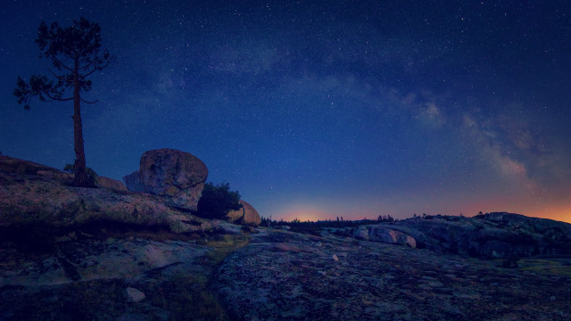 Night sky stars tree rock free wallpaper for desktop - medium preview image