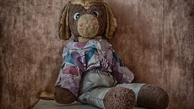 Stuffed dog shirt table wall free wallpaper for desktop - medium preview image