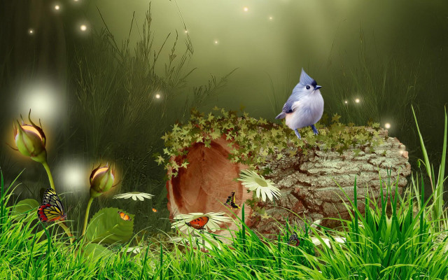 Blue bird rock grass butterflies free wallpaper for desktop - medium preview image