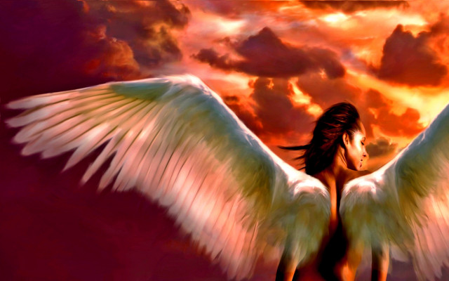 Angel wings sunset horse fire free wallpaper for desktop - medium preview image