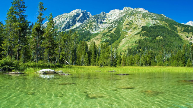 Mountain lake forest sky bush #3 free wallpaper for desktop - medium preview image