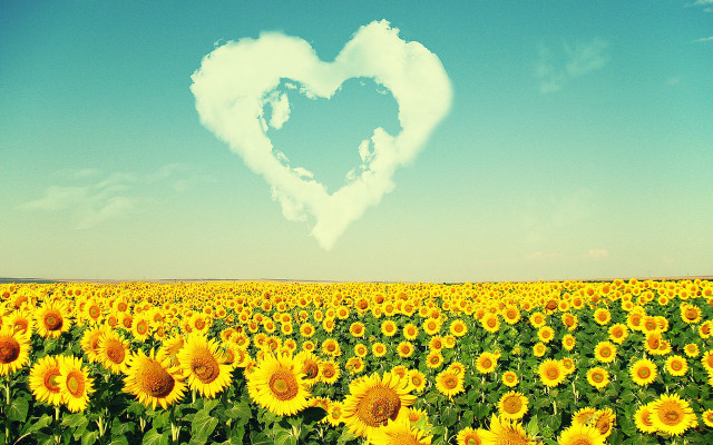 Heart cloud sunflower sky love free wallpaper for desktop - medium preview image