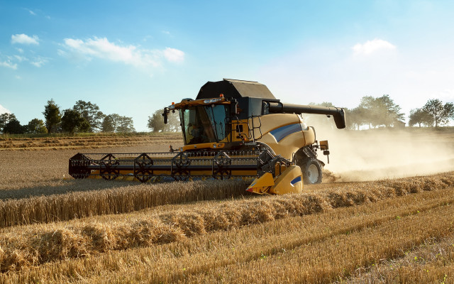 Harvested wheat field blue sky free wallpaper for desktop - medium preview image