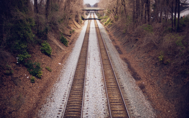 Train crossing wooded area night free wallpaper for desktop - medium preview image
