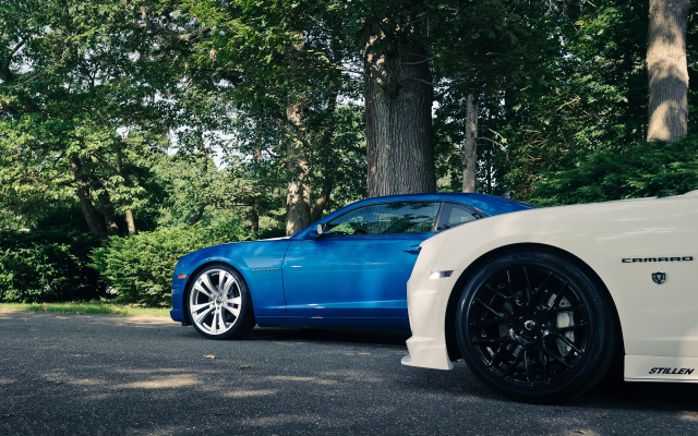 Blue white sports cars forest free wallpaper for desktop - medium preview image