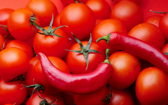 Tomatoes red pepper table top free wallpaper for desktop - medium preview image