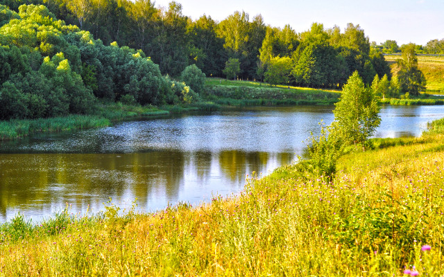 River green trees grass sunny free wallpaper for desktop - medium preview image