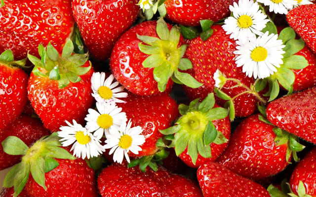 Strawberries daisies impressionism jigsaw berry free wallpaper for desktop - medium preview image