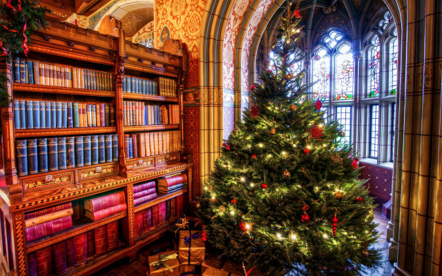 Library christmas tree magic cityscape free wallpaper for desktop - medium preview image