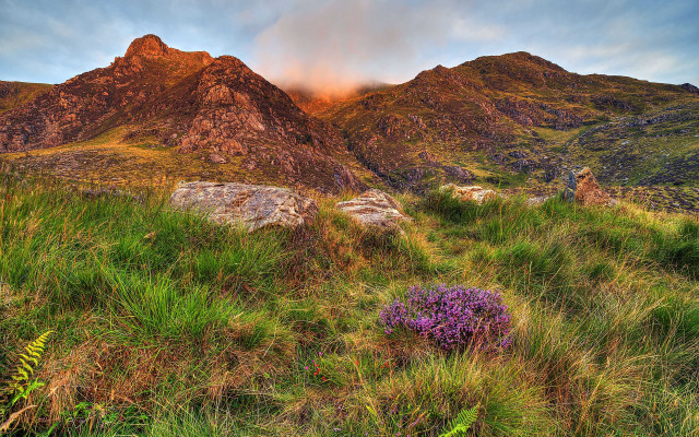 Mountain range purple flower cloud free wallpaper for desktop - medium preview image