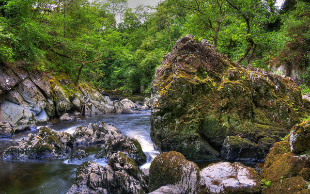 Lush river rock forest waterfall free wallpaper for desktop - medium preview image