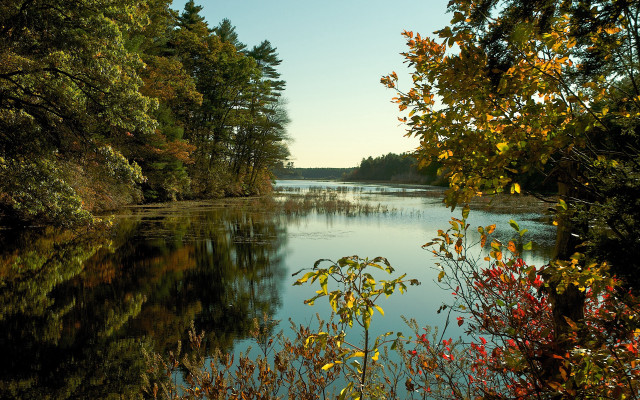 Hudson river school autumn leaves #2 free wallpaper for desktop - medium preview image