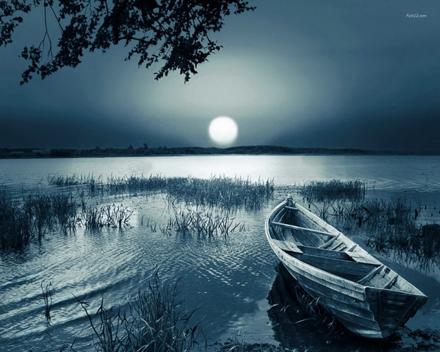 Boat lake tree night sunset free wallpaper for desktop - medium preview image