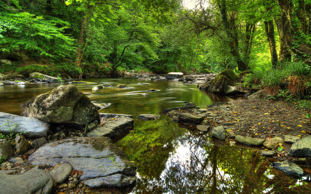 Lush green forest stream rocks #6 free wallpaper for desktop - medium preview image