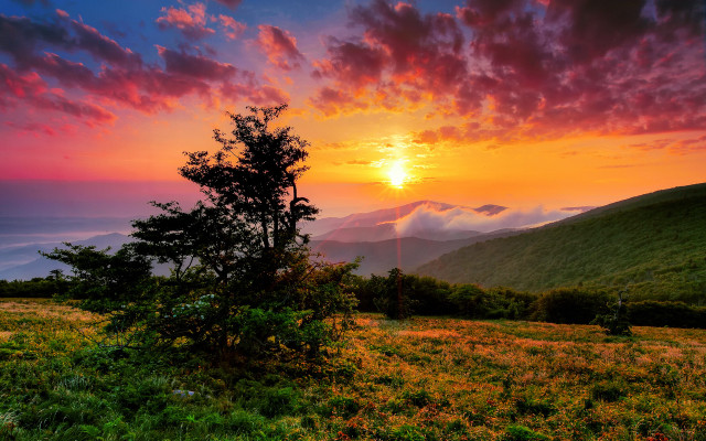 Sunset mountain tree clouds horizon free wallpaper for desktop - medium preview image