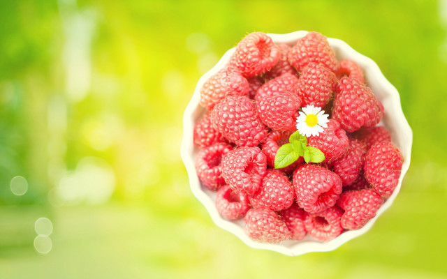Raspberries daisy bowl table blurry free wallpaper for desktop - medium preview image