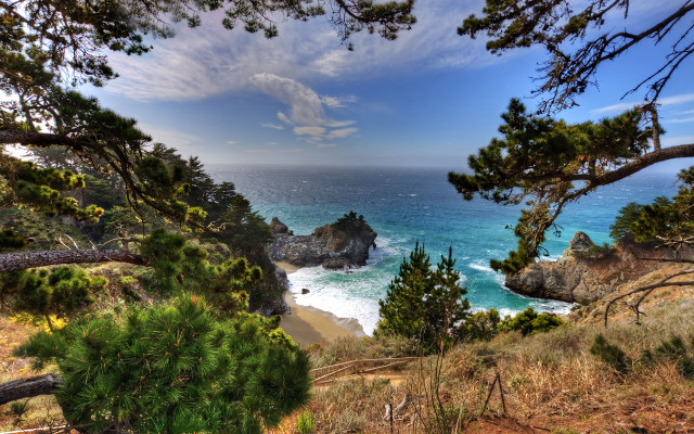 Scenic ocean hilltop trees blue free wallpaper for desktop - medium preview image