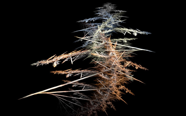 Tall plant thin leaves streetlight free wallpaper for desktop - medium preview image