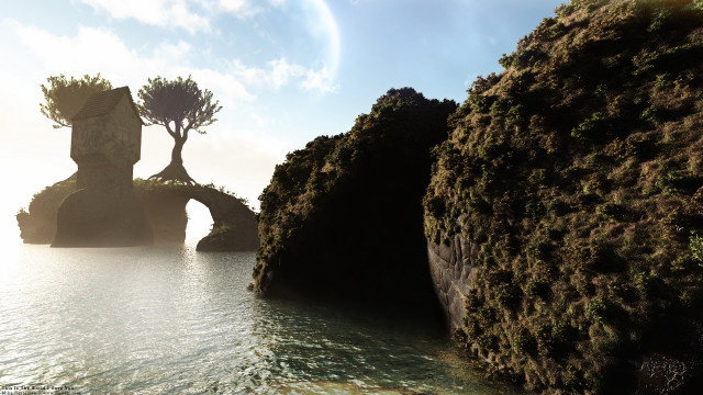 Tree rock ocean cliff forest free wallpaper for desktop - medium preview image
