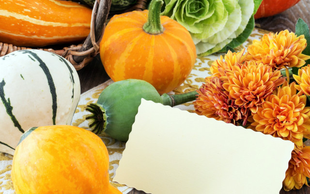 Pumpkins flowers note basket harvest free wallpaper for desktop - medium preview image