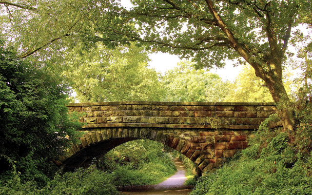 Stone bridge stream park trees free wallpaper for desktop - medium preview image
