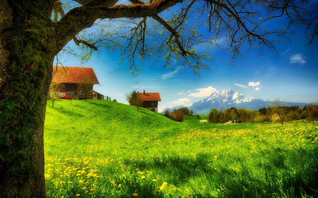Green hilltop house tree mountain free wallpaper for desktop - medium preview image