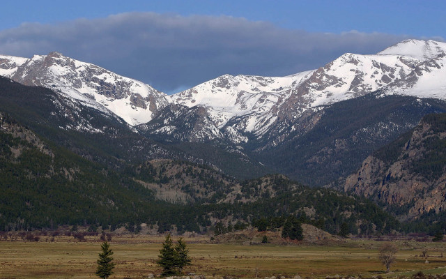 Mountain snow trees cows outdoor free wallpaper for desktop - medium preview image