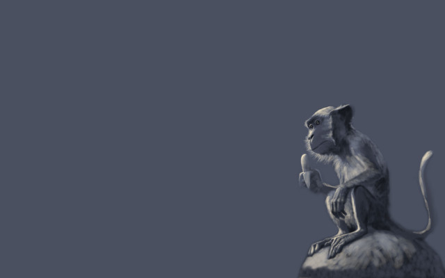 Monkey rock blue sky naturalism free wallpaper for desktop - medium preview image