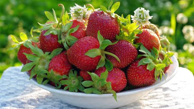 Strawberries bowl outdoor sunlight impressionism free wallpaper for desktop - medium preview image