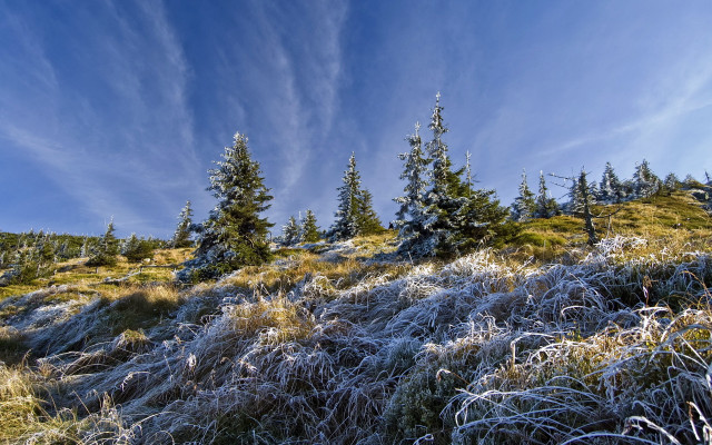 Frosted forest bicycle sky mountains free wallpaper for desktop - medium preview image