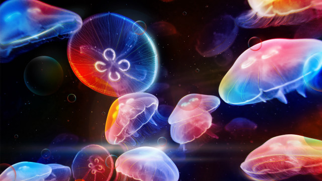 Jellyfish bubbles holography biolu­minescence planet free wallpaper for desktop - medium preview image