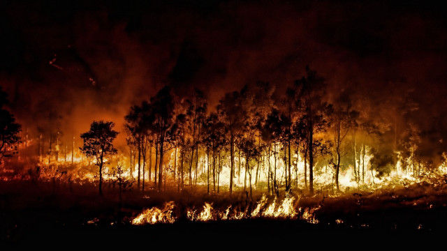 Forest fire night sky autumn free wallpaper for desktop - medium preview image