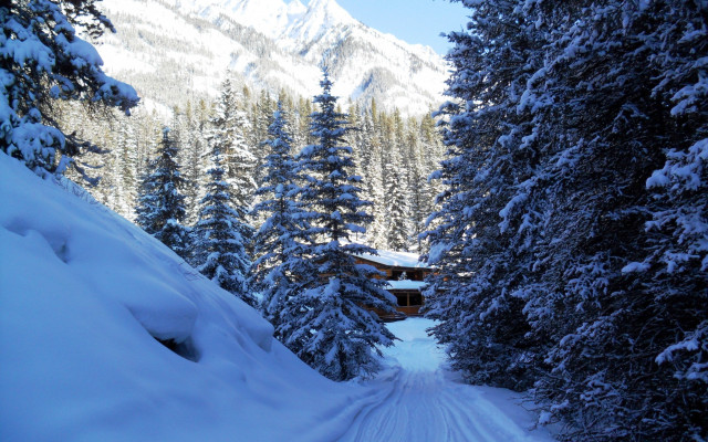Snow covered road cabin trees free wallpaper for desktop - medium preview image