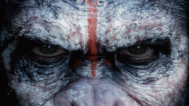 Monkey face red lines primitivism free wallpaper for desktop - medium preview image