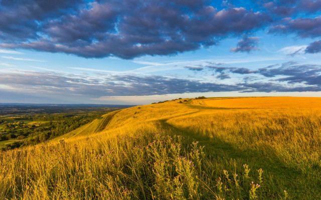 Grassy hill path clouds flowers free wallpaper for desktop - medium preview image