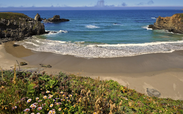 Beach wave cliff flowers sunset free wallpaper for desktop - medium preview image