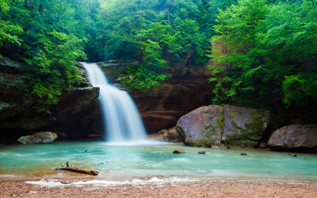 Waterfall forest fallen tree man free wallpaper for desktop - medium preview image
