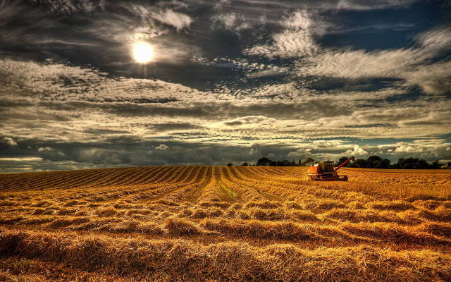 Tractor hayfield cloudy sky sunshine free wallpaper for desktop - medium preview image