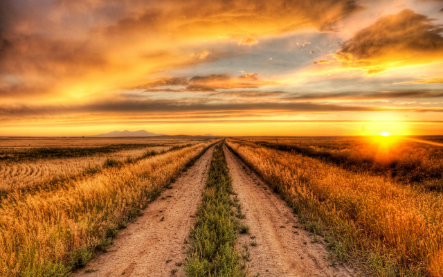 Dirt road sunset grass bushes free wallpaper for desktop - medium preview image