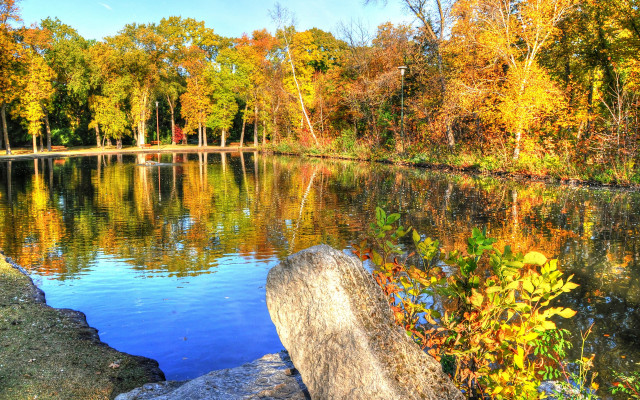 Lake fall foliage rock forest free wallpaper for desktop - medium preview image